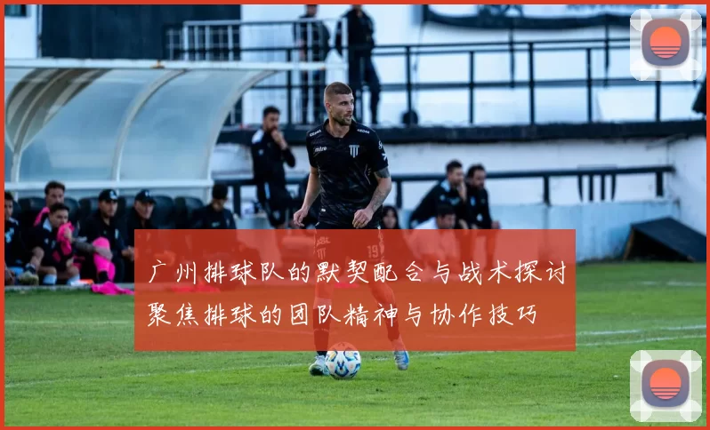 广州排球队的默契配合与战术探讨聚焦排球的团队精神与协作技巧