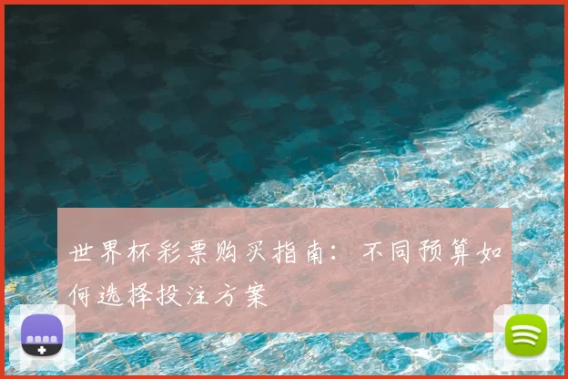 世界杯彩票购买指南：不同预算如何选择投注方案