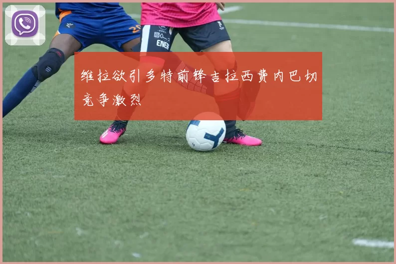 维拉欲引多特前锋吉拉西费内巴切竞争激烈