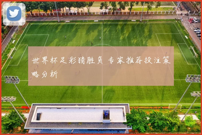 世界杯足彩猜胜负 专家推荐投注策略分析