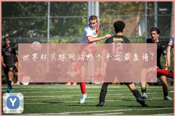 世界杯买球网站哪个平台最靠谱?