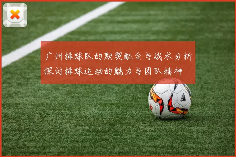 广州排球队的默契配合与战术分析探讨排球运动的魅力与团队精神