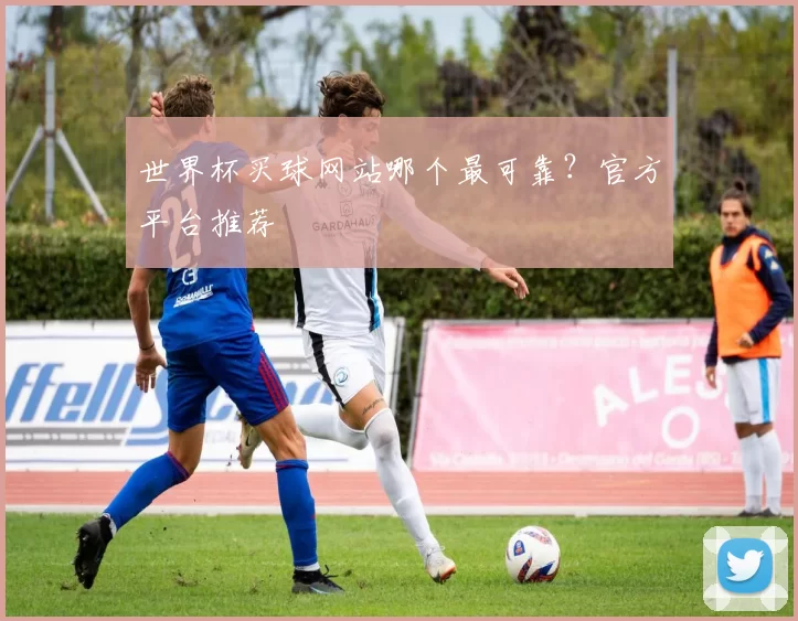 世界杯买球网站哪个最可靠？官方平台推荐