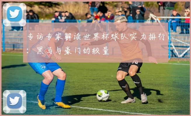 专访专家解读世界杯球队实力排行：黑马与豪门的较量