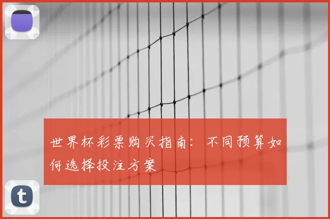 世界杯彩票购买指南:不同预算如何选择投注方案