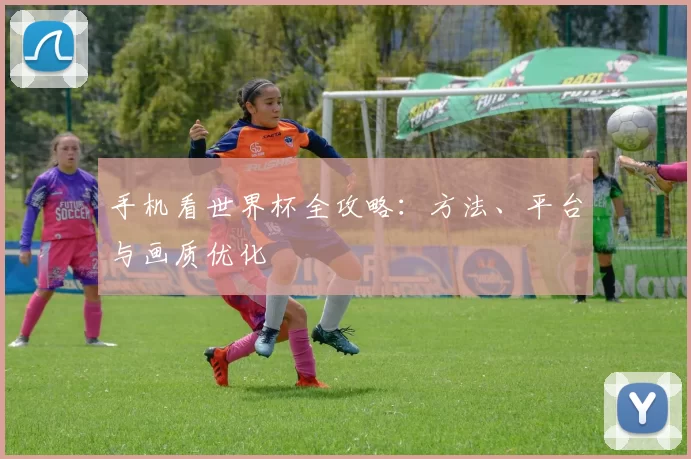 手机看世界杯全攻略：方法、平台与画质优化