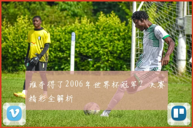 谁夺得了2006年世界杯冠军？决赛精彩全解析
