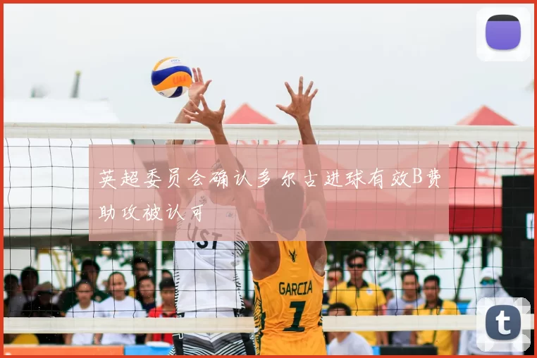 英超委员会确认多尔古进球有效B费助攻被认可