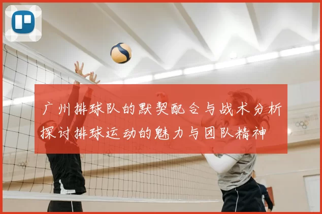 广州排球队的默契配合与战术分析探讨排球运动的魅力与团队精神
